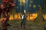 Neverwinter Nights: Hordes of the Underdark (PC)