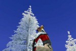 1080 Avalanche (GameCube)