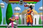 Dragon Ball Z: Taiketsu (Game Boy Advance)