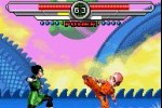 Dragon Ball Z: Taiketsu (Game Boy Advance)