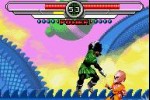 Dragon Ball Z: Taiketsu (Game Boy Advance)