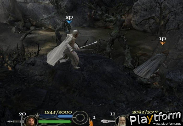 The Lord of the Rings: The Return of the King (PlayStation 2)