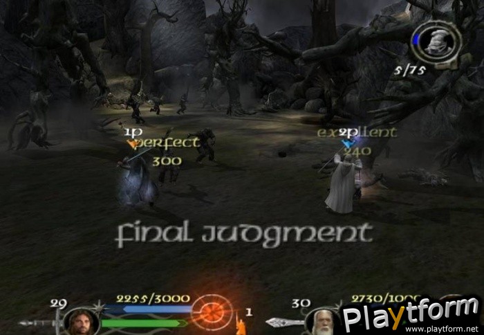 The Lord of the Rings: The Return of the King (PlayStation 2)