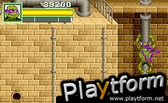 Teenage Mutant Ninja Turtles (Game Boy Advance)