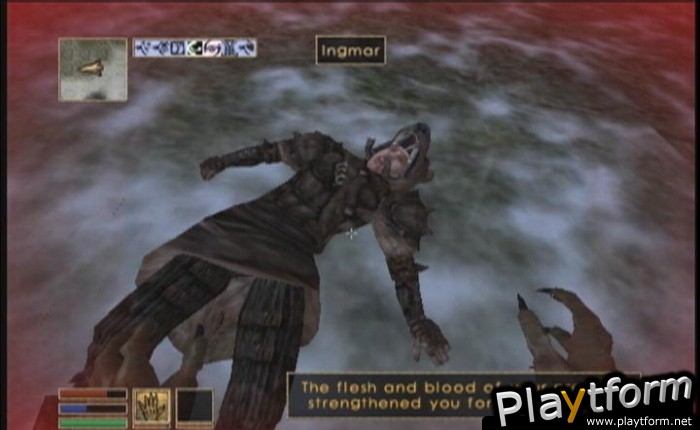 The Elder Scrolls III: Morrowind Game of the Year Edition (Xbox)