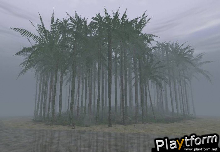 Chrome (PC)