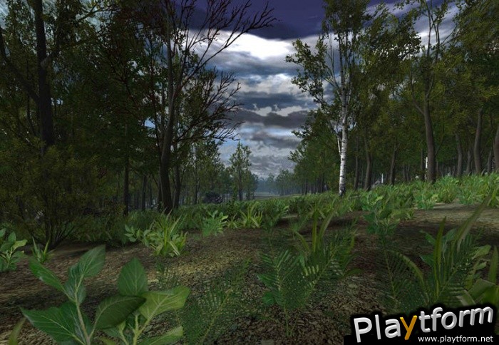 Chrome (PC)