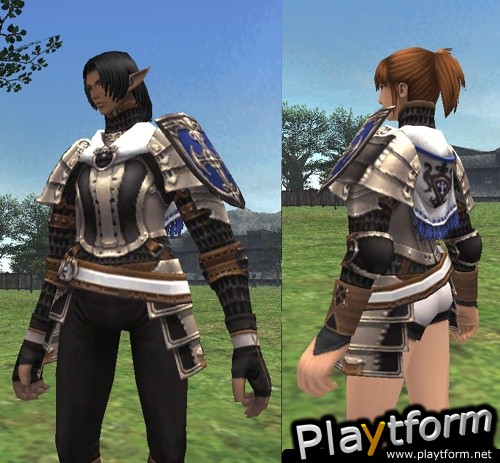 Final Fantasy XI (PC)