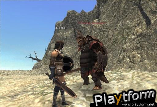 Final Fantasy XI (PC)