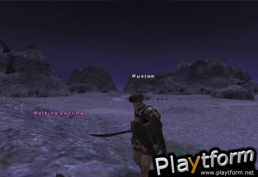 Final Fantasy XI (PC)