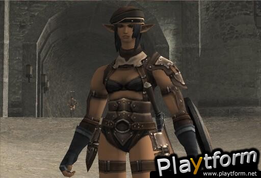 Final Fantasy XI (PC)