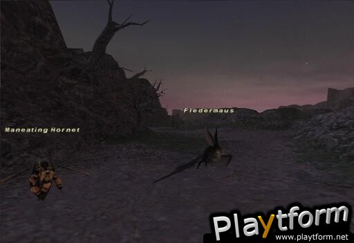 Final Fantasy XI (PC)