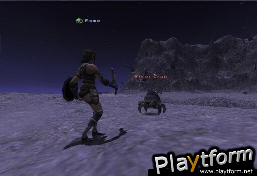 Final Fantasy XI (PC)