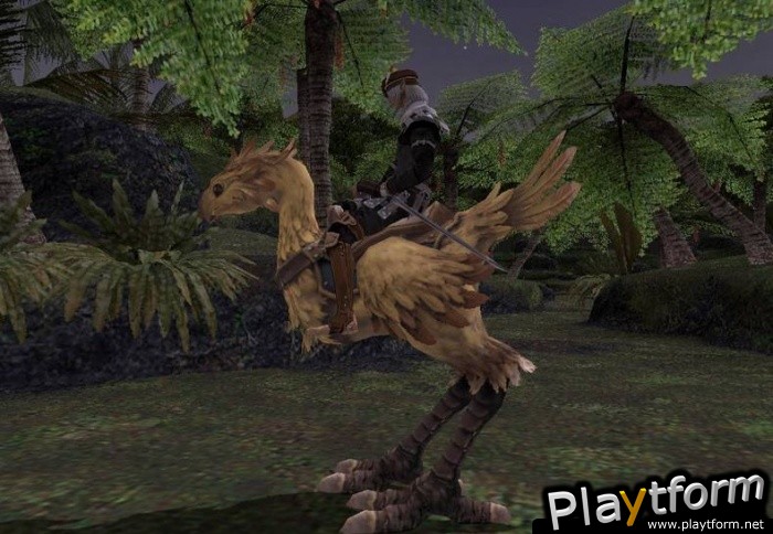 Final Fantasy XI (PC)