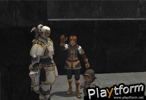 Final Fantasy XI (PC)