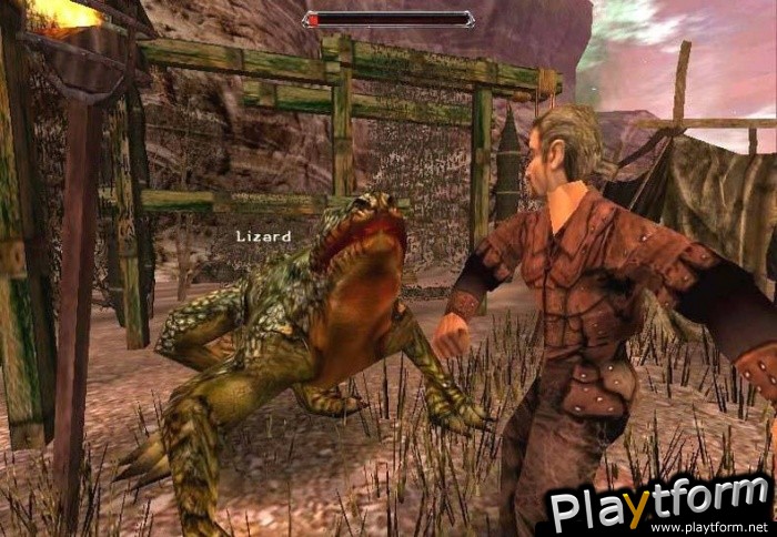 Gothic II (PC)