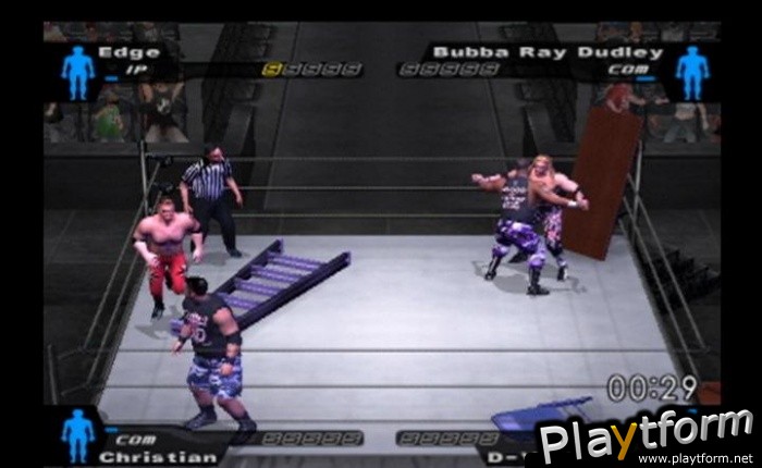 WWE SmackDown! Here Comes the Pain (PlayStation 2)