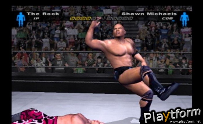 WWE SmackDown! Here Comes the Pain (PlayStation 2)