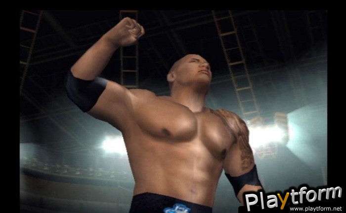 WWE SmackDown! Here Comes the Pain (PlayStation 2)
