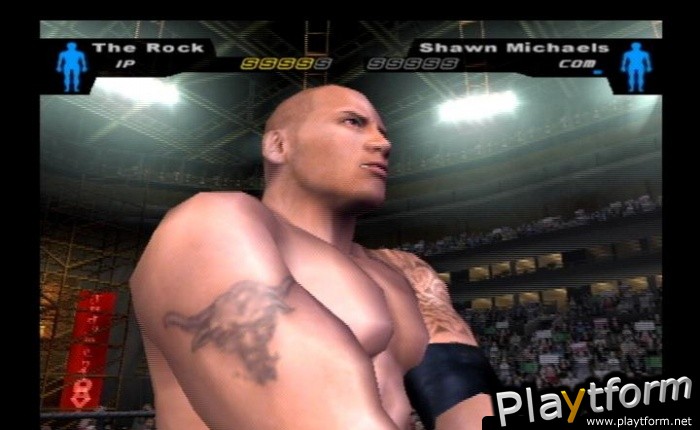 WWE SmackDown! Here Comes the Pain (PlayStation 2)