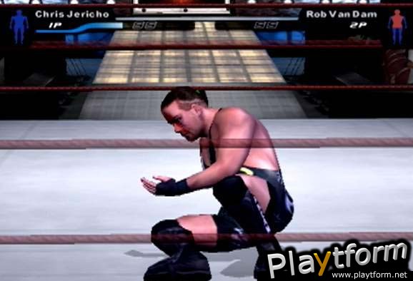 WWE SmackDown! Here Comes the Pain (PlayStation 2)