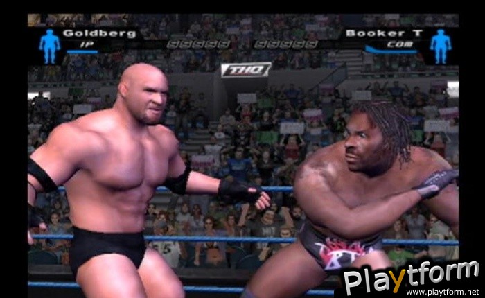 WWE SmackDown! Here Comes the Pain (PlayStation 2)