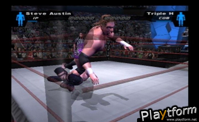 WWE SmackDown! Here Comes the Pain (PlayStation 2)