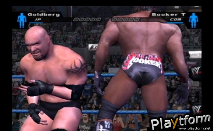 WWE SmackDown! Here Comes the Pain (PlayStation 2)