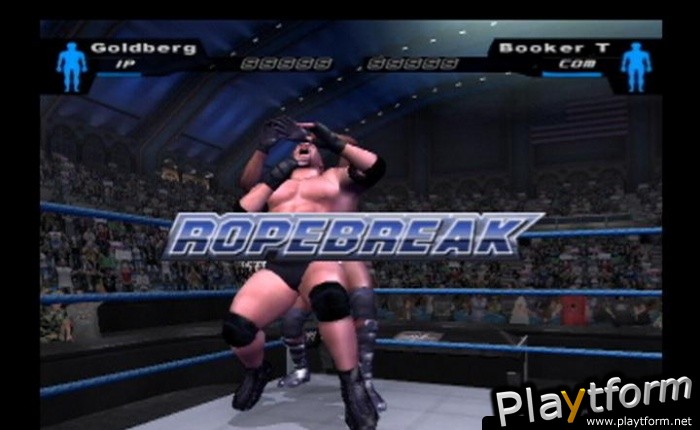 WWE SmackDown! Here Comes the Pain (PlayStation 2)