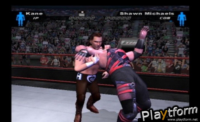 WWE SmackDown! Here Comes the Pain (PlayStation 2)