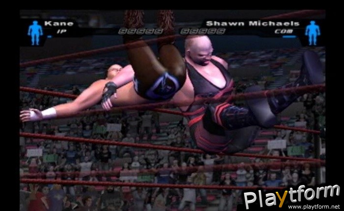 WWE SmackDown! Here Comes the Pain (PlayStation 2)