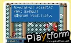 Super Mario Advance 4: Super Mario Bros. 3 (Game Boy Advance)