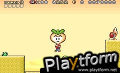 Super Mario Advance 4: Super Mario Bros. 3 (Game Boy Advance)
