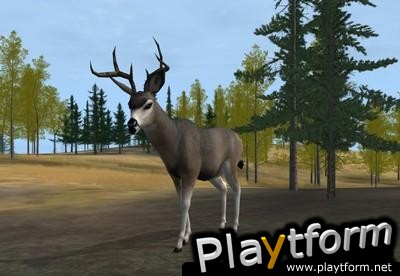 Deer Hunter 2004 (PC)