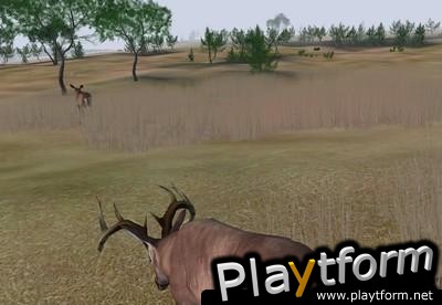 Deer Hunter 2004 (PC)