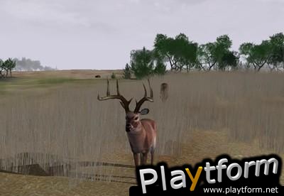 Deer Hunter 2004 (PC)