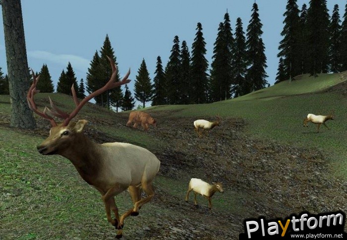 Hunting Unlimited 2 (PC)
