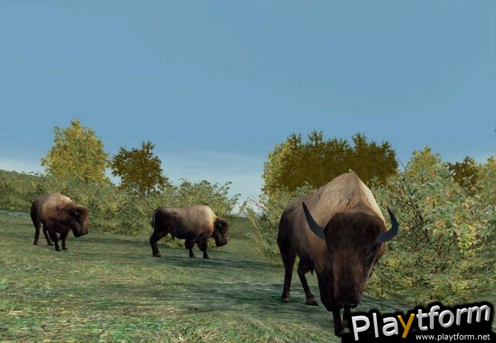 Hunting Unlimited 2 (PC)