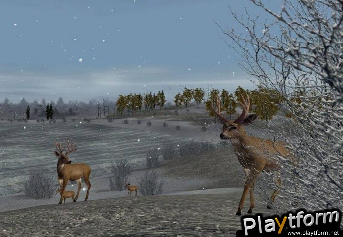 Hunting Unlimited 2 (PC)