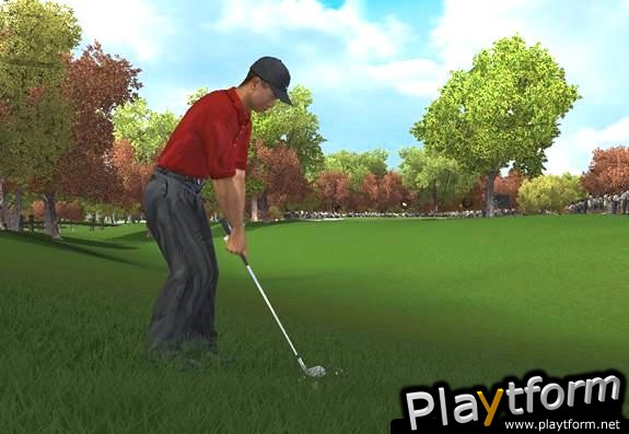 Tiger Woods PGA Tour 2004 (PC)