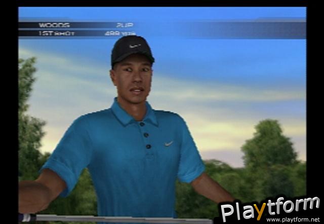 Tiger Woods PGA Tour 2004 (PlayStation 2)