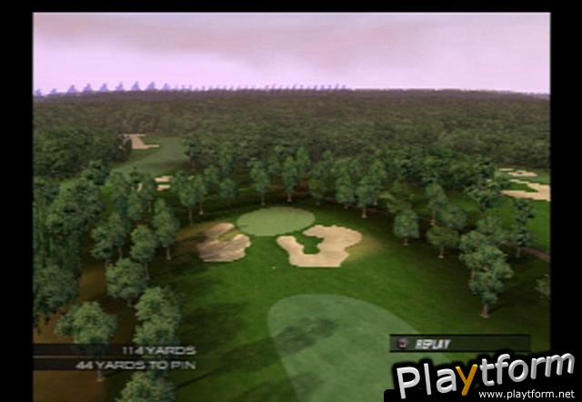 Tiger Woods PGA Tour 2004 (PlayStation 2)