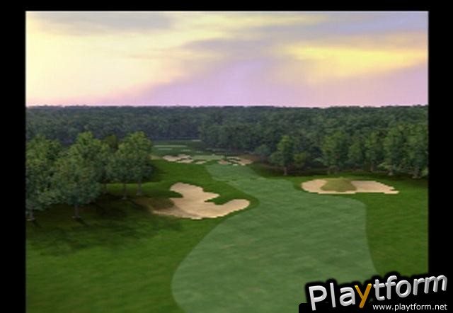 Tiger Woods PGA Tour 2004 (PlayStation 2)