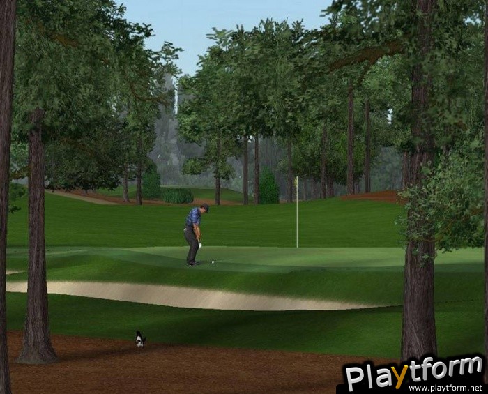 Tiger Woods PGA Tour 2004 (PlayStation 2)