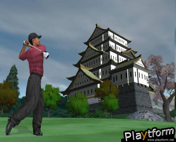 Tiger Woods PGA Tour 2004 (PlayStation 2)