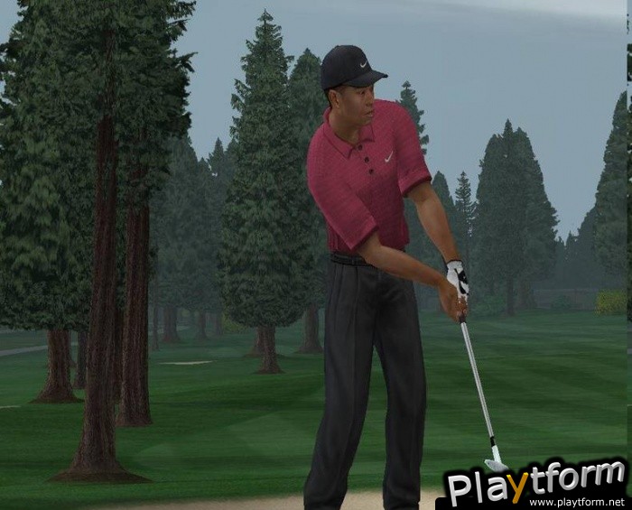 Tiger Woods PGA Tour 2004 (PlayStation 2)