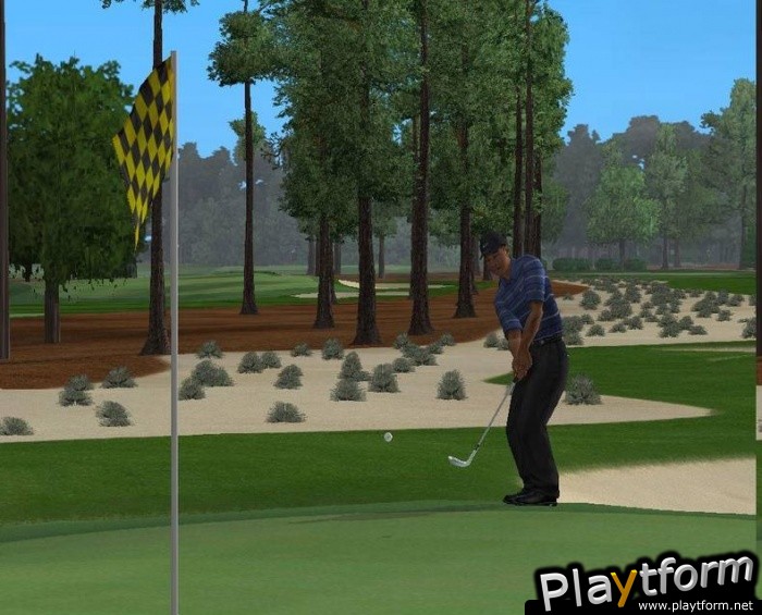 Tiger Woods PGA Tour 2004 (PlayStation 2)