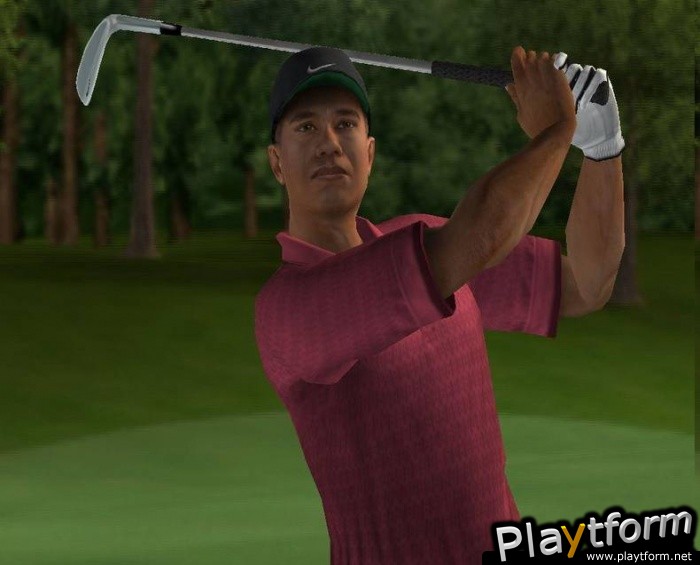 Tiger Woods PGA Tour 2004 (PlayStation 2)