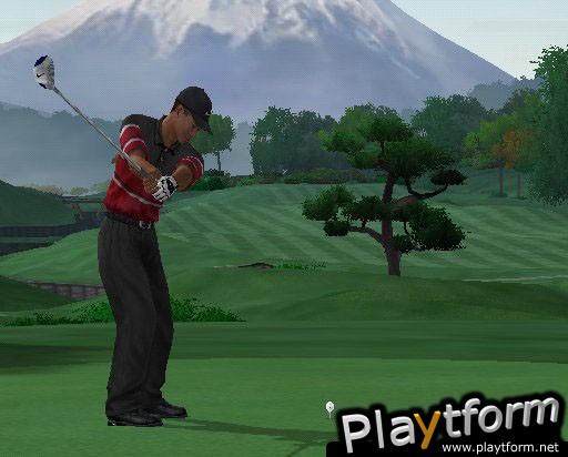 Tiger Woods PGA Tour 2004 (GameCube)