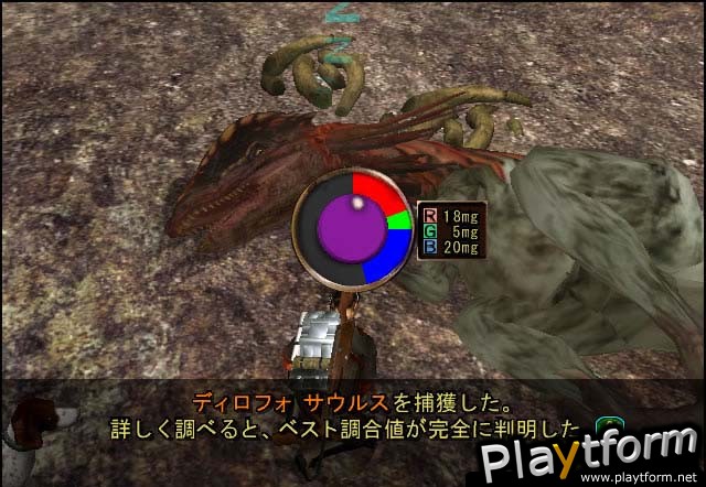 Dinosaur Hunting (Xbox)